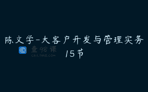 陈文学-大客户开发与管理实务15节