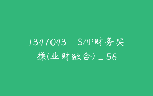 1347043_SAP财务实操(业财融合)_56