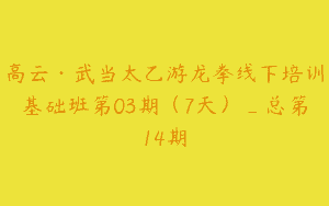 高云·武当太乙游龙拳线下培训基础班第03期（7天）_总第14期