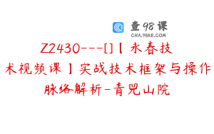 Z2430---[]【永春技术视频课】实战技术框架与操作脉络解析-青兕山院
