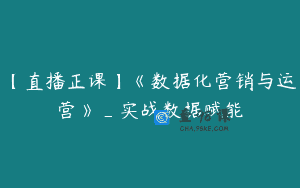 【直播正课】《数据化营销与运营》_实战数据赋能