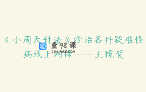 《小周天针法》诊治各科疑难怪病线上网课——王镜贺