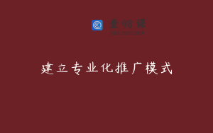 建立专业化推广模式