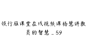 领行雁课堂在线视频课杨慧讲教员的智慧_59