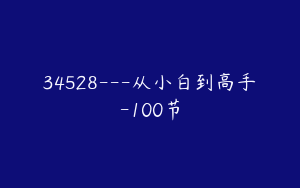 34528---从小白到高手-100节
