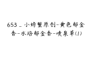 653_小螃蟹原创-黄色郁金香-水培郁金香-喷泉草(1)