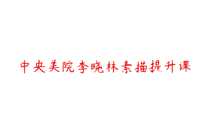 中央美院李晓林素描提升课