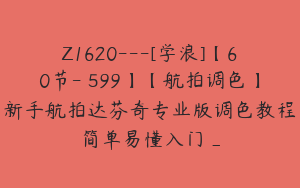 Z1620---[学浪]【60节-￥599】【航拍调色】新手航拍达芬奇专业版调色教程简单易懂入门_