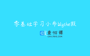 零基础学习小布blythe假发
