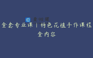 全套专业课｜特色花植手作课程全内容
