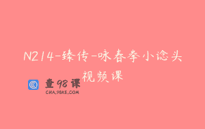 N214-臻传-咏春拳小谂头视频课