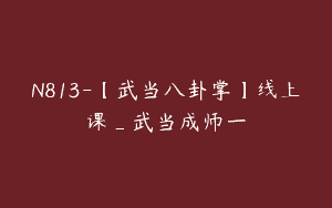 N813-【武当八卦掌】线上课_武当成师一