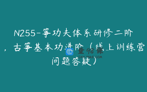 N255-筝功夫体系研修二阶，古筝基本功进阶（线上训练营问题答疑）