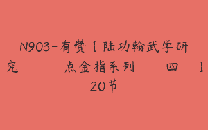 N903-有赞【陆功翰武学研究___点金指系列__四_】20节