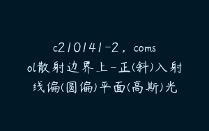 c210141-2,comsol散射边界上-正(斜)入射线偏(圆偏)平面(高斯)光