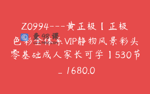 Z0994—黄正极【正极色彩全体系VIP静物风景彩头零基础成人家长可学】530节_1680.0
