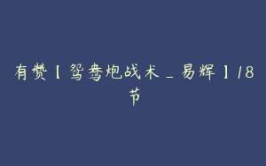 有赞【鸳鸯炮战术_易辉】18节
