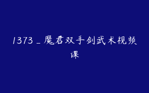 1373_魔君双手剑武术视频课