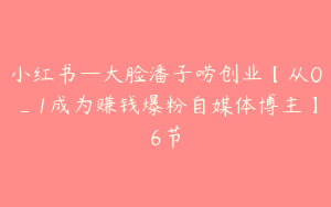 小红书—大脸潘子唠创业【从0_1成为赚钱爆粉自媒体博主】6节