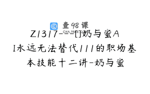 Z1317—[]奶与蜜AI永远无法替代111的职场基本技能十二讲-奶与蜜