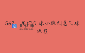 562_星约气球小婉创意气球课程