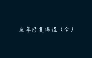 皮革修复课程（全）