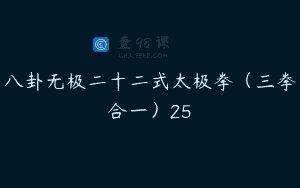 八卦无极二十二式太极拳（三拳合一）25