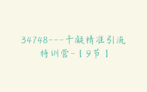 34748---千凝精准引流特训营-【9节】