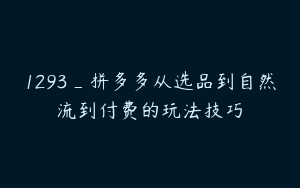 1293_拼多多从选品到自然流到付费的玩法技巧