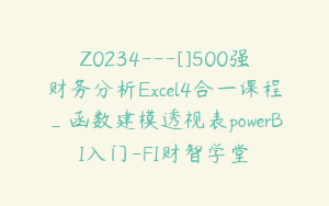 Z0234---[]500强财务分析Excel4合一课程_函数建模透视表powerBI入门-FI财智学堂