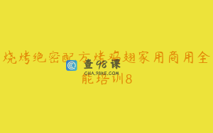 烧烤绝密配方烤鸡翅家用商用全能培训8