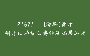 Z1671—[海豚]黄开明丹田功核心要领及拓展运用