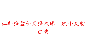 社群操盘手实操大课_姚小友爱运营