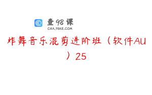 炸舞音乐混剪进阶班（软件AU）25