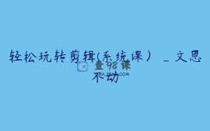 轻松玩转剪辑(系统课）_文思不动
