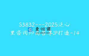 S3832---2025泛心里咨询师高客单IP打造-14