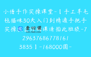 小惜手作实操课堂-【手工羊毛毡猫咪30天入门到精通手把手实操教会你购课请拍此班级-7296376867781613835】-168000圆-30节
