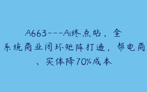 A663---Ai终点站，全系统商业闭环矩阵打造，帮电商、实体降70%成本