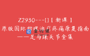 Z2930---[]【新课】原版国际物理治疗疼痛康复指南——足与踝关节全集