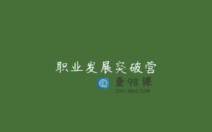 职业发展突破营