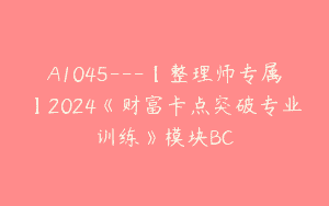 A1045—【整理师专属】2024《财富卡点突破专业训练》模块BC