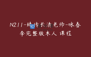 N211-臻传长清老师-咏春拳完整版木人樁课程