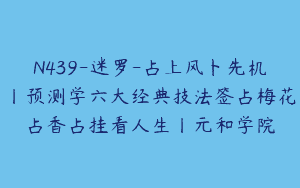 N439-迷罗-占上风卜先机丨预测学六大经典技法签占梅花占香占挂看人生丨元和学院