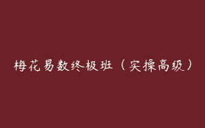 梅花易数终极班（实操高级）