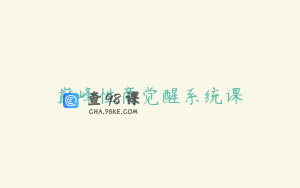 巅峰性商觉醒系统课