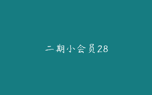 二期小会员28
