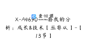 X-A4690---自我的分析：成长&技术【丛非从】-【13节】