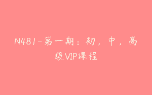 N481-第一期：初，中，高级VIP课程