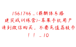 1561746_(薪酬体系搭建实战训练营)-苹果手机用户请到微信购买，不要充值荔枝币！！_10
