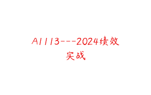 A1113—2024绩效实战
